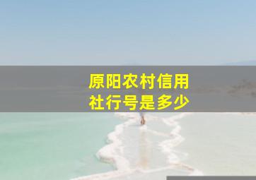 原阳农村信用社行号是多少