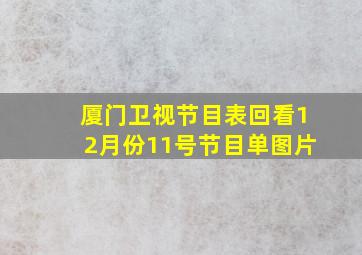 厦门卫视节目表回看12月份11号节目单图片