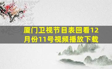 厦门卫视节目表回看12月份11号视频播放下载