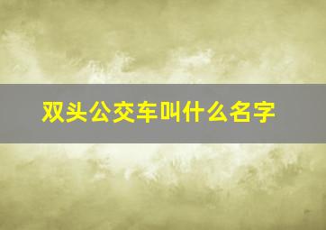 双头公交车叫什么名字