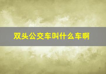 双头公交车叫什么车啊