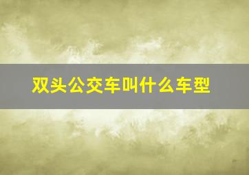 双头公交车叫什么车型