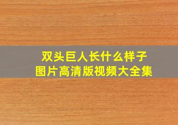 双头巨人长什么样子图片高清版视频大全集