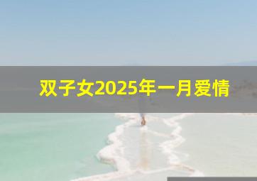 双子女2025年一月爱情