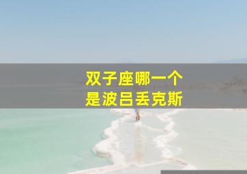 双子座哪一个是波吕丢克斯