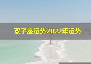 双子座运势2022年运势