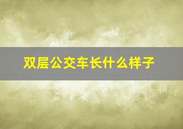 双层公交车长什么样子