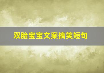 双胎宝宝文案搞笑短句