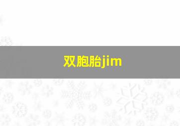 双胞胎jim