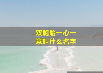 双胞胎一心一意叫什么名字