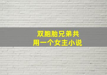 双胞胎兄弟共用一个女主小说