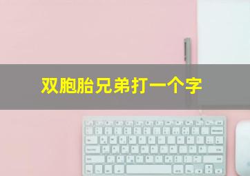 双胞胎兄弟打一个字