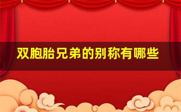 双胞胎兄弟的别称有哪些