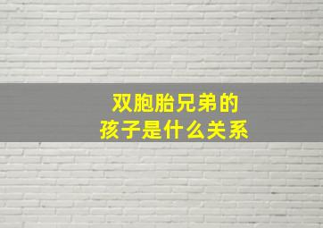 双胞胎兄弟的孩子是什么关系