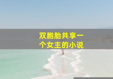 双胞胎共享一个女主的小说