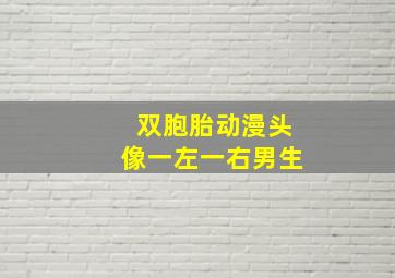 双胞胎动漫头像一左一右男生