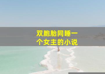 双胞胎同睡一个女主的小说