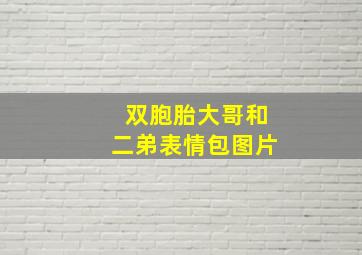 双胞胎大哥和二弟表情包图片