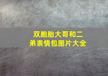 双胞胎大哥和二弟表情包图片大全