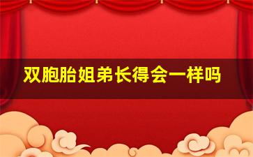 双胞胎姐弟长得会一样吗