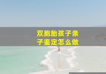 双胞胎孩子亲子鉴定怎么做