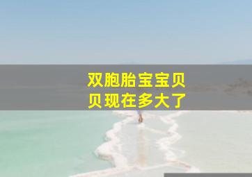 双胞胎宝宝贝贝现在多大了