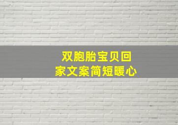 双胞胎宝贝回家文案简短暖心