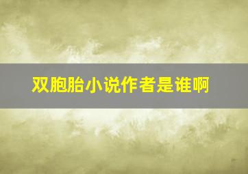 双胞胎小说作者是谁啊