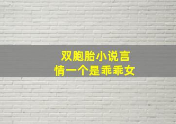 双胞胎小说言情一个是乖乖女