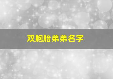 双胞胎弟弟名字