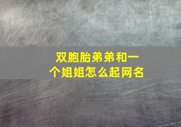 双胞胎弟弟和一个姐姐怎么起网名