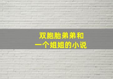 双胞胎弟弟和一个姐姐的小说