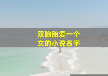 双胞胎爱一个女的小说名字