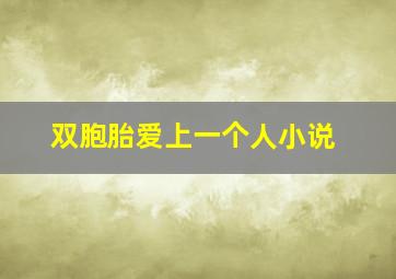 双胞胎爱上一个人小说