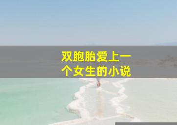 双胞胎爱上一个女生的小说