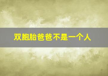 双胞胎爸爸不是一个人