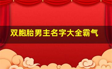 双胞胎男主名字大全霸气