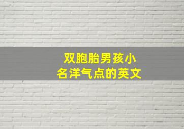 双胞胎男孩小名洋气点的英文