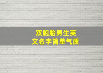 双胞胎男生英文名字简单气质