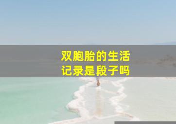 双胞胎的生活记录是段子吗