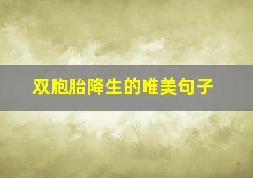 双胞胎降生的唯美句子