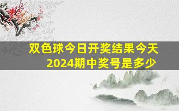 双色球今日开奖结果今天2024期中奖号是多少