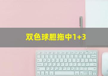 双色球胆拖中1+3