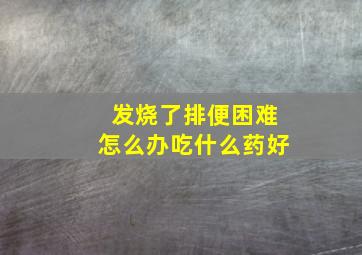 发烧了排便困难怎么办吃什么药好