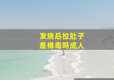 发烧后拉肚子是排毒吗成人