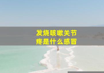 发烧咳嗽关节疼是什么感冒