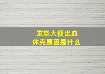 发烧大便出血休克原因是什么