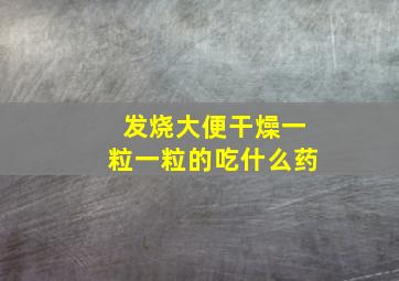 发烧大便干燥一粒一粒的吃什么药