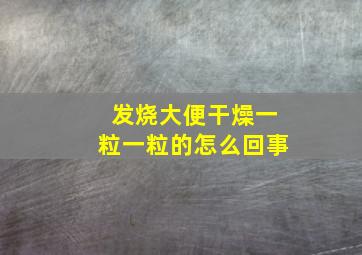 发烧大便干燥一粒一粒的怎么回事