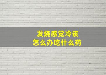 发烧感觉冷该怎么办吃什么药